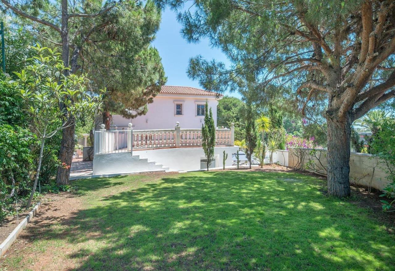 Villa Domus Vesta *
